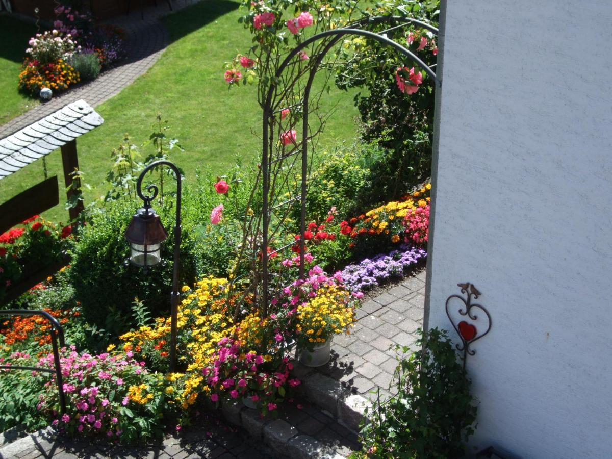 Haus Mittelberg Lejlighed Olsberg Eksteriør billede