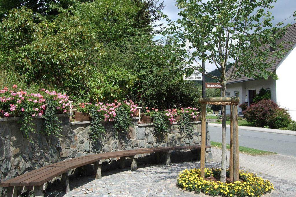 Haus Mittelberg Lejlighed Olsberg Eksteriør billede