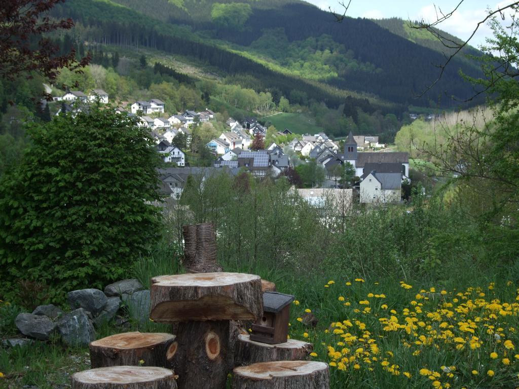 Haus Mittelberg Lejlighed Olsberg Værelse billede