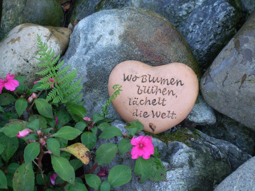 Haus Mittelberg Lejlighed Olsberg Eksteriør billede