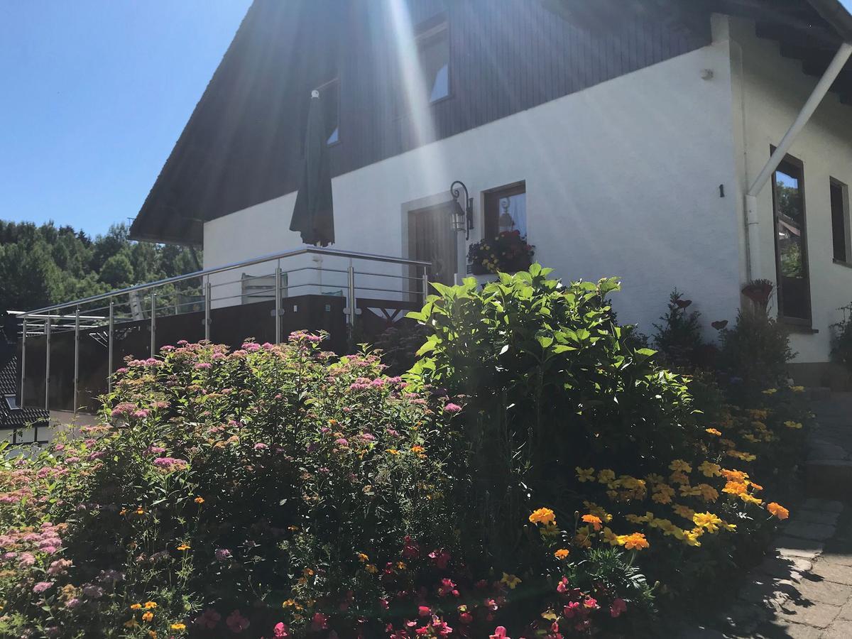 Haus Mittelberg Lejlighed Olsberg Eksteriør billede