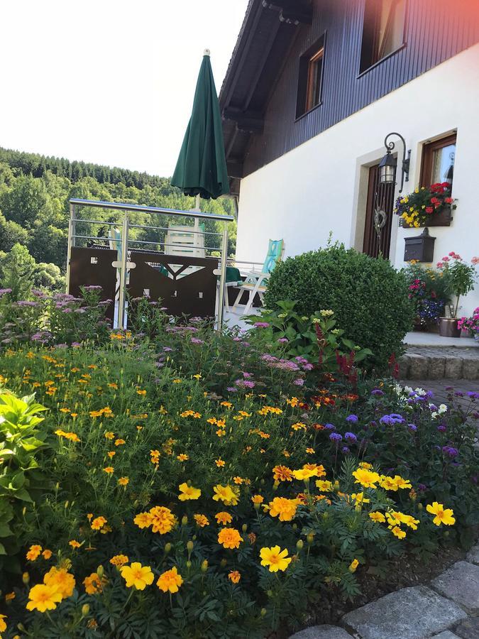 Haus Mittelberg Lejlighed Olsberg Eksteriør billede